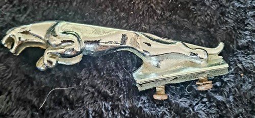 Vintage leaping jaguar car - vintage,