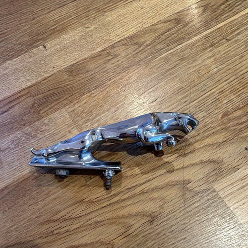 Jaguar vintage chrome - vintage,