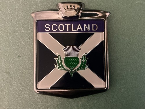 Vintage scotland thistle - vintage,