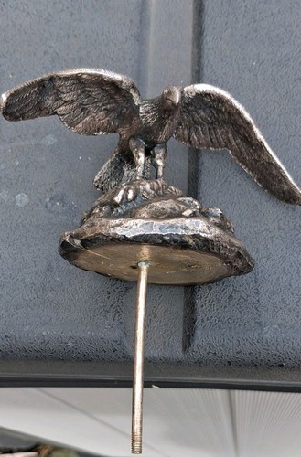 Vintage eagle vulture - vintage, hood