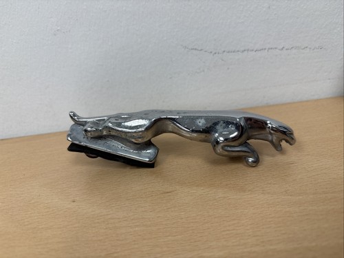 Jaguar vintage chrome - chrome, bonnet