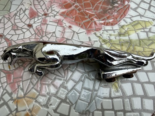 Jaguar vintage leaping cat - jaguar,
