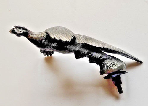 Vintage jeune pheasant - le,